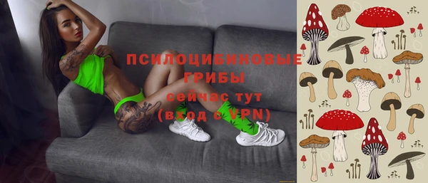 кокаин перу Богданович