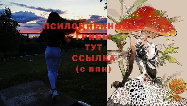 кокаин перу Богданович